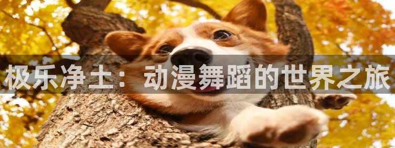 囧次元入口：极乐净土：动漫舞蹈的世界之旅