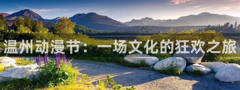 囧次元a：温州动漫节：一场文化的狂欢之旅