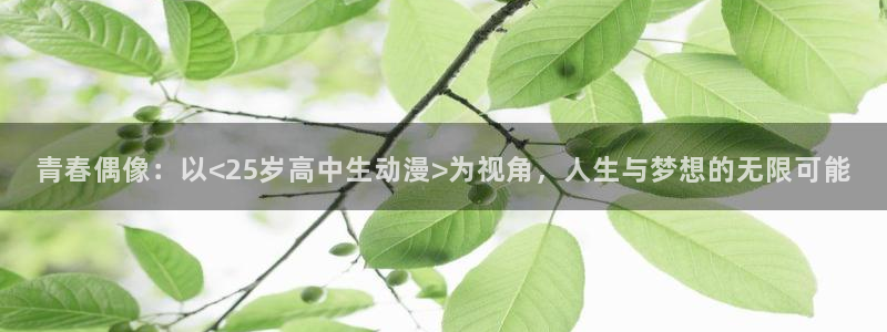 囧次元新版：青春偶像：以<25岁高中生动漫>为视角，人生与梦想的无限可能