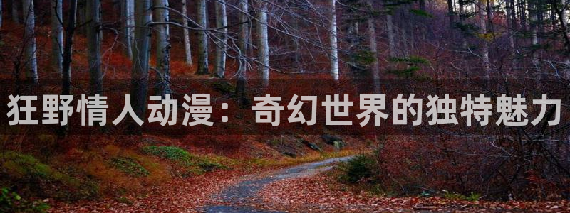 囧次元下：狂野情人动漫：奇幻世界的独特魅力