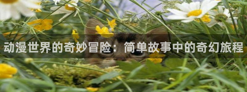 囧次元是哪个公司的：动漫世界的奇妙冒险：简单故事中的奇幻旅程