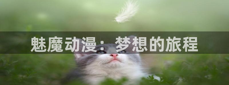 囧次元官方网站入口：魅魔动漫：梦想的旅程