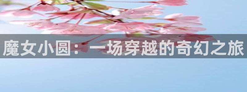 囧次元app官方下载：魔女小圆：一场穿越的奇幻之旅