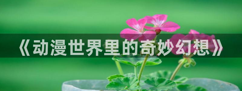 《囧次元》：《动漫世界里的奇妙幻想》