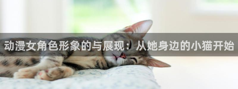 囧次元软件下载：动漫女角色形象的与展现：从她身边的小猫开始