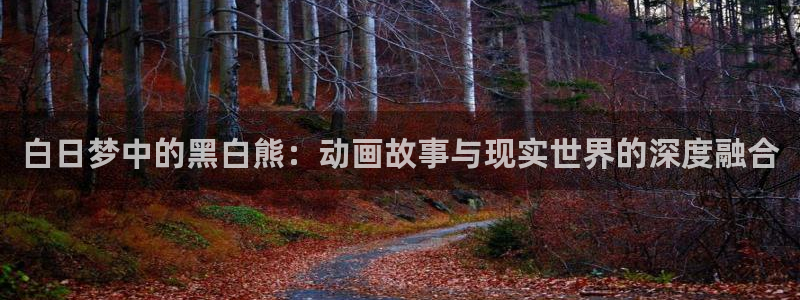 囧次元囧次元：白日梦中的黑白熊：动画故事与现实世界的深度融合