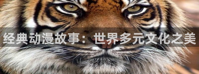 囧次元官方：经典动漫故事：世界多元文化之美