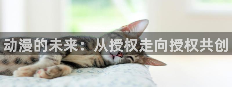 囧次元无广告：动漫的未来：从授权走向授权共创
