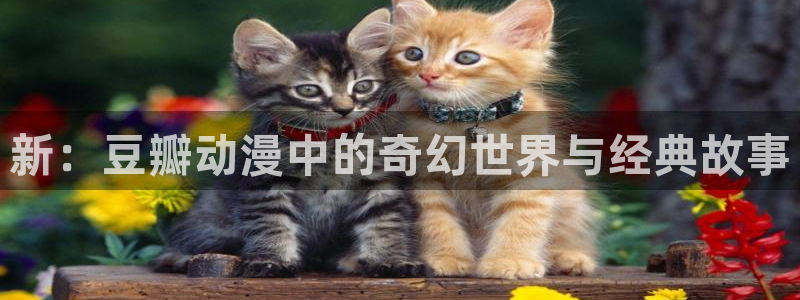 囧次元动漫app：新：豆瓣动漫中的奇幻世界与经典故事